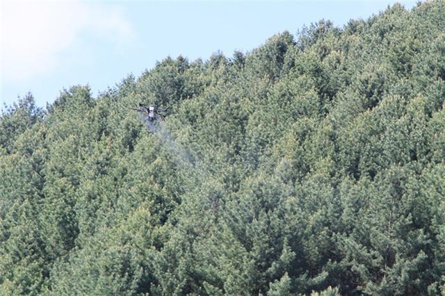 臨江林業局:無人機噴藥防蟲大顯身手(圖1) 臨江林業局:無人機噴藥防蟲大顯身手(圖1)