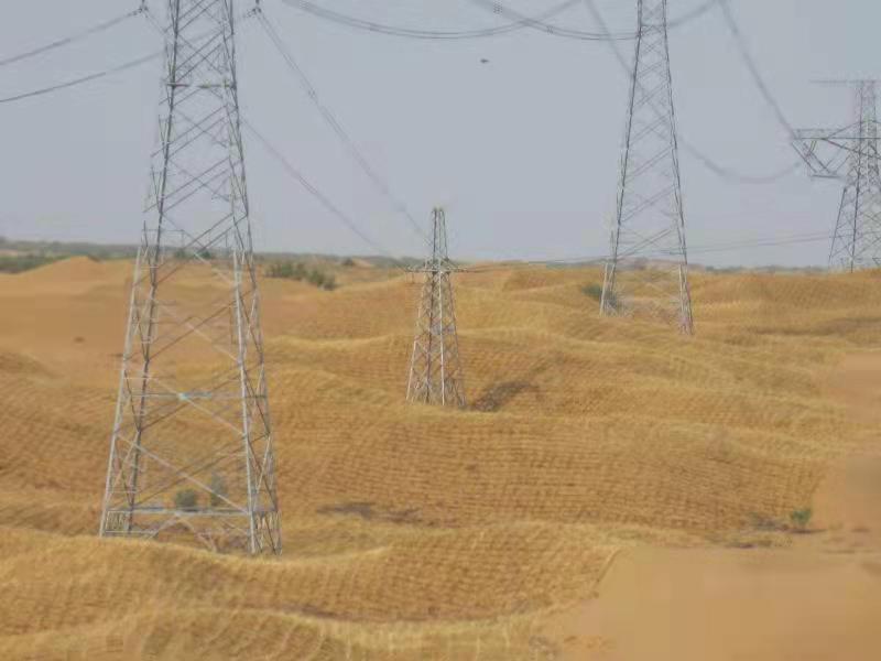 無人機傾斜攝影技術(shù)助力寧夏沙害防治(圖2)