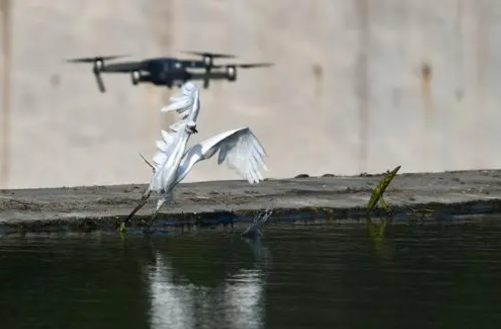 重點(diǎn)關(guān)注 2022年即將實(shí)施的無(wú)人機(jī)新規(guī)(圖5)