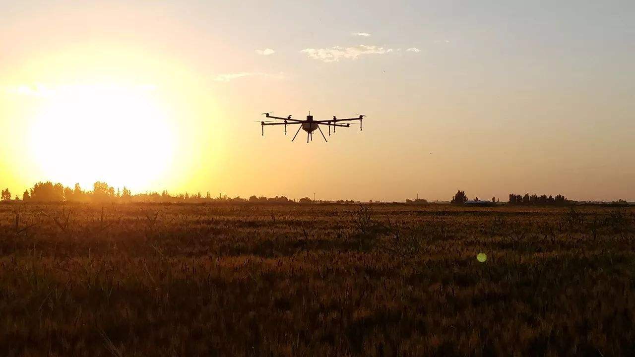 “無人機駕駛員”成為新職業 前景好工資高(圖1)