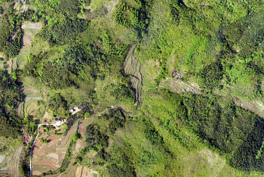 無人機技術(shù)在現(xiàn)代林業(yè)工作方面的應用(圖2)