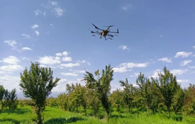 無人機助力山區(qū)產(chǎn)業(yè)增效、果農(nóng)增收(圖1)